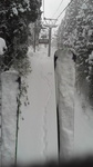 2016012508550000.jpg