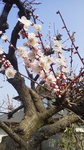 2014031809550000.jpg