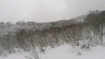 2016022411390001.jpg