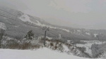 2016022411420000.jpg