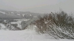 2016022411420001.jpg