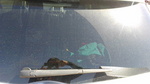 2016032211360001.jpg