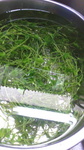 2016042513140000.jpg