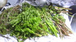 2016042508450000.jpg