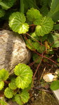 2016042513130000.jpg