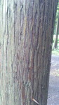 2016062508480002.jpg