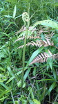 2016062907200002.jpg