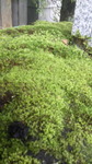 2016063012180000.jpg