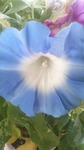 2016071009400001.jpg