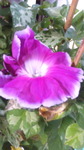 2016070907180000.jpg