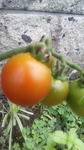 2016071315580003.jpg