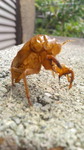 2016072011130001.jpg