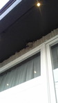 2016072318140003.jpg