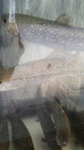 2016072814530000.jpg