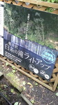 2016072814450002.jpg
