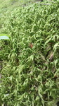 2016081616060000.jpg