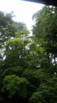 2016082212160000.jpg