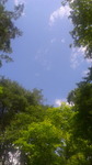 2016082311450000.jpg