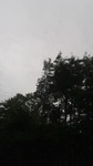 2016082914280000.jpg