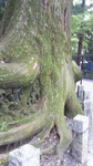 2016090314440001.jpg