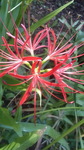 2015091410500001.jpg