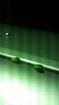 2016092520380003.jpg