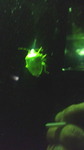 2016092520380000.jpg
