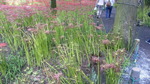 2016092612490001.jpg