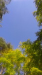 2016101011550000.jpg