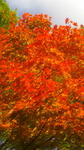 2016101909150000.jpg