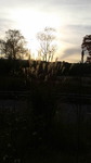 2016102116100001.jpg