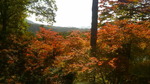 2016102710300000.jpg