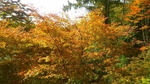 2016102710310000.jpg