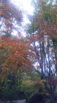 2016102813320000.jpg