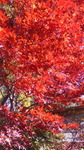 2016102912100001.jpg