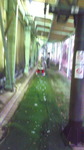 2016112113530000.jpg