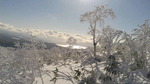 2016121112420001.jpg