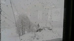 2017012109080001.jpg
