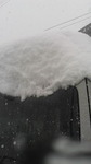2017012312540000.jpg