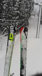 2017022408480000.jpg