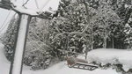 2017022408480001.jpg