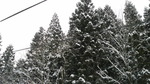2017022508340001.jpg