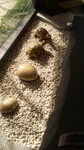 2017032515030001.jpg