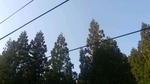 2017040208010001.jpg