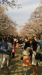 2017040514170000.jpg