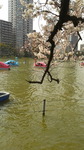2017040514510001.jpg