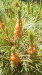 2013053110110000.jpg