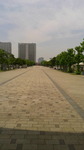2017061012160001.jpg