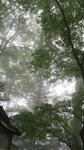 2016063011580000.jpg
