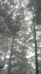 2016063011270000.jpg